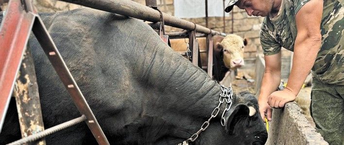 В Кирове утверждён перечень региональных и муниципальных мер